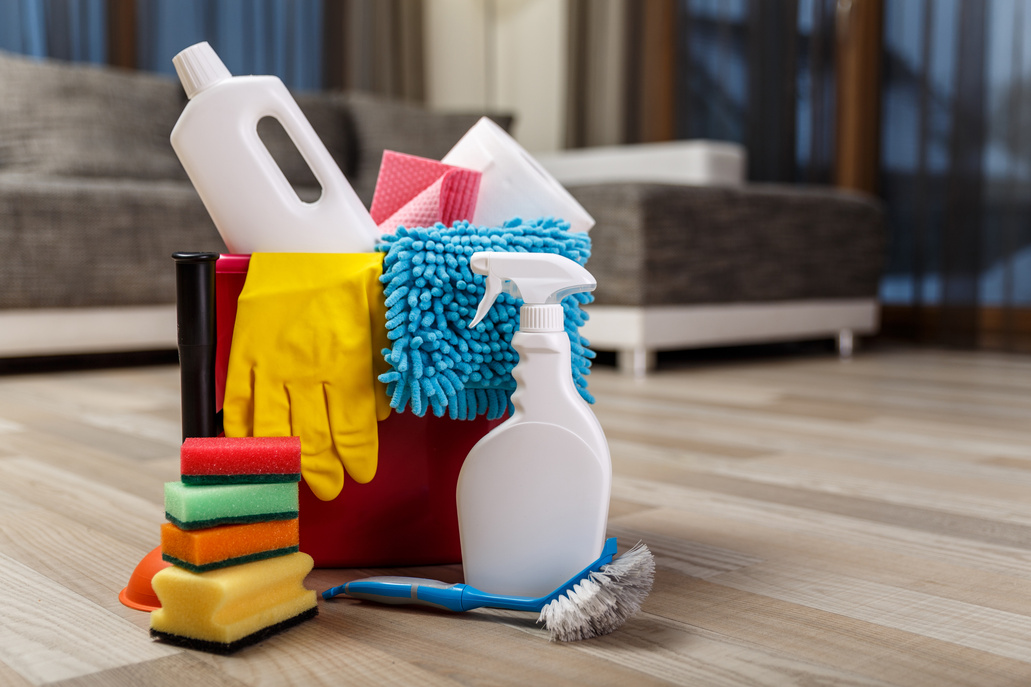 Cleaning service. Sponges, chemicals and plunger.